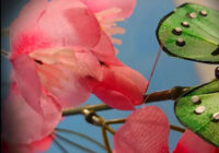 bijoux joaillier créateur à Annecy collection printemps 2025