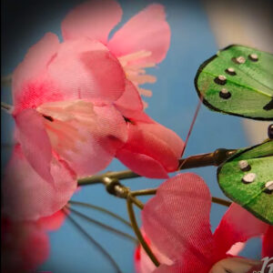 Collection Printemps 2025